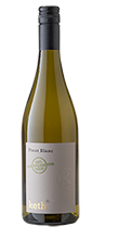 Pinot Blanc alkoholfrei 2023