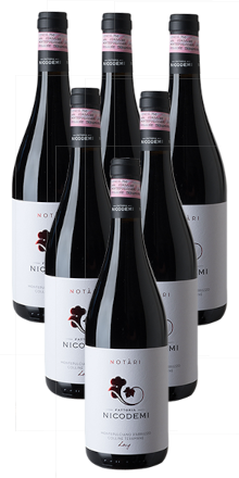 Montepulciano Notari 2021 6er-Paket