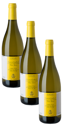 Verdicchio Stefano Antonucci 2022 - 3 Flaschen