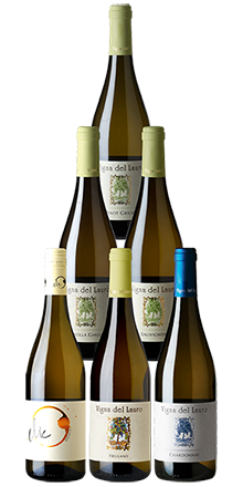 Vigna del Lauro - 6er-Paket