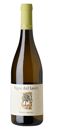 Pinot Grigio Collio DOP 2024