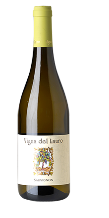 Sauvignon Collio DOP 2024