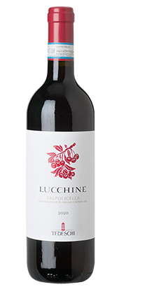 Valpolicella DOC Lucchine 2023