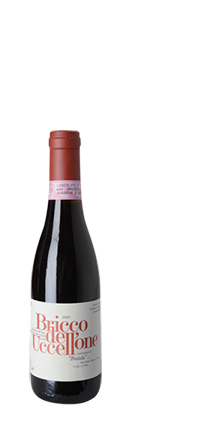 Barbera d´Asti DOCG Bricco dell´ Uccellone 2021