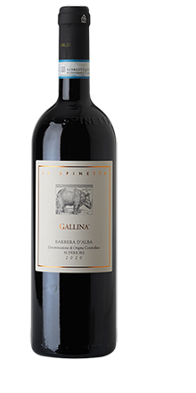 Barbera d´Alba DOC Superiore Gallina 2022
