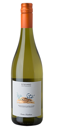 Verdicchio Castelli Jesi DOC Sté 2025