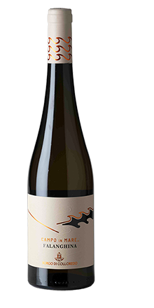 Molise Falanghina DOC Campo in Mare 2025