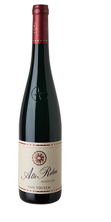 Alte Reben Riesling trocken 2023