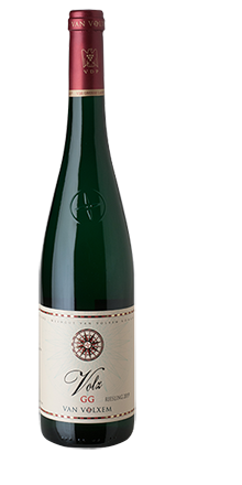 Volz Riesling GG 2019