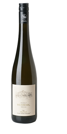 Grüner Veltliner Steinfeder Ried Alte Point 2025