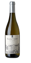 Sauvignon Friuli DOC 2024