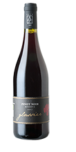 Südtiroler Pinot Noir Riserva DOC 2020