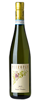 Soave Classico DOC 2024