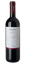 Versante Primitivo IGP 2024