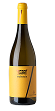 Malvasia Terre degli Osci IGT 2025
