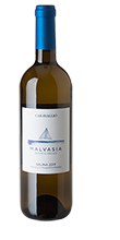 Malvasia Bianco Secco Salina IGP 2024
