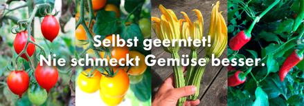 Pflänzchen - in allen Münchner GARIBALDI-Läden